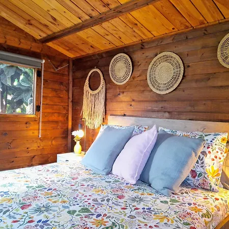 Apartman Don Pedro *