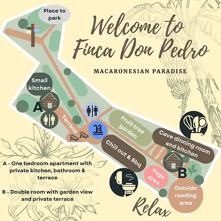 Don Pedro سانتا كروز دي تينيريف