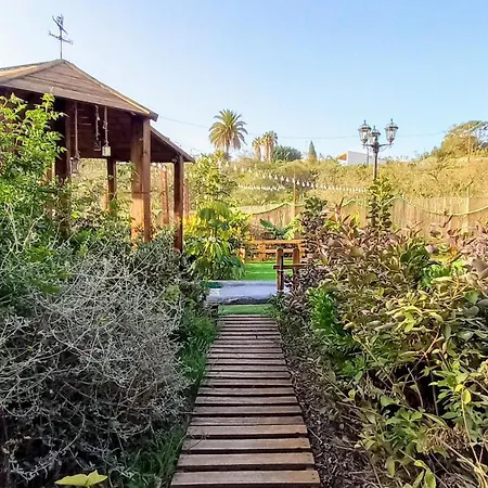 Don Pedro * سانتا كروز دي تينيريف