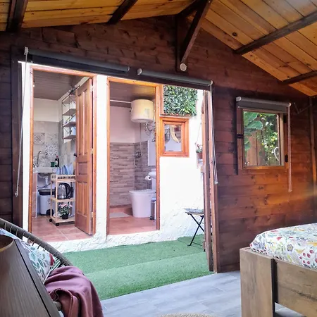 Don Pedro سانتا كروز دي تينيريف