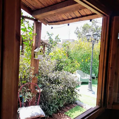 Don Pedro * سانتا كروز دي تينيريف