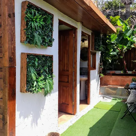 Don Pedro * سانتا كروز دي تينيريف