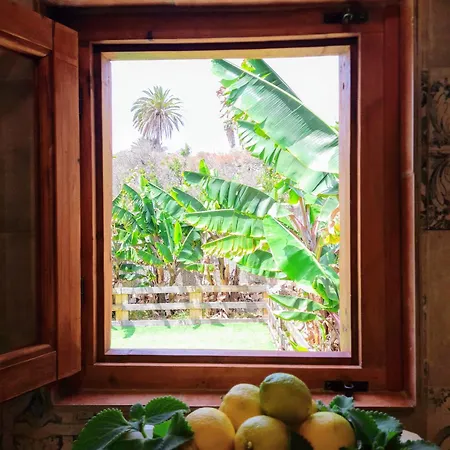 شقة Don Pedro سانتا كروز دي تينيريف