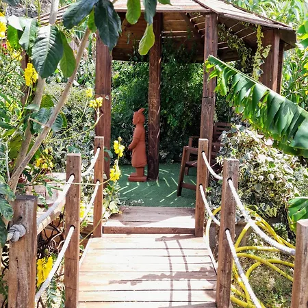 Don Pedro سانتا كروز دي تينيريف