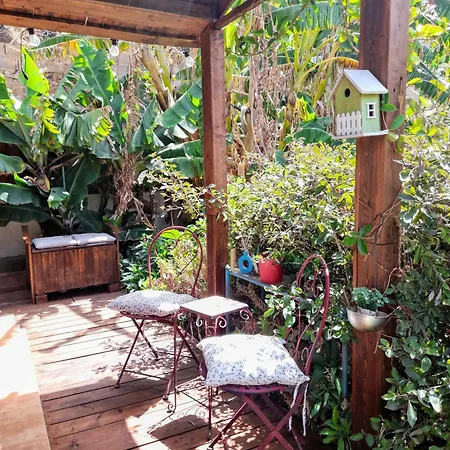 Don Pedro * سانتا كروز دي تينيريف